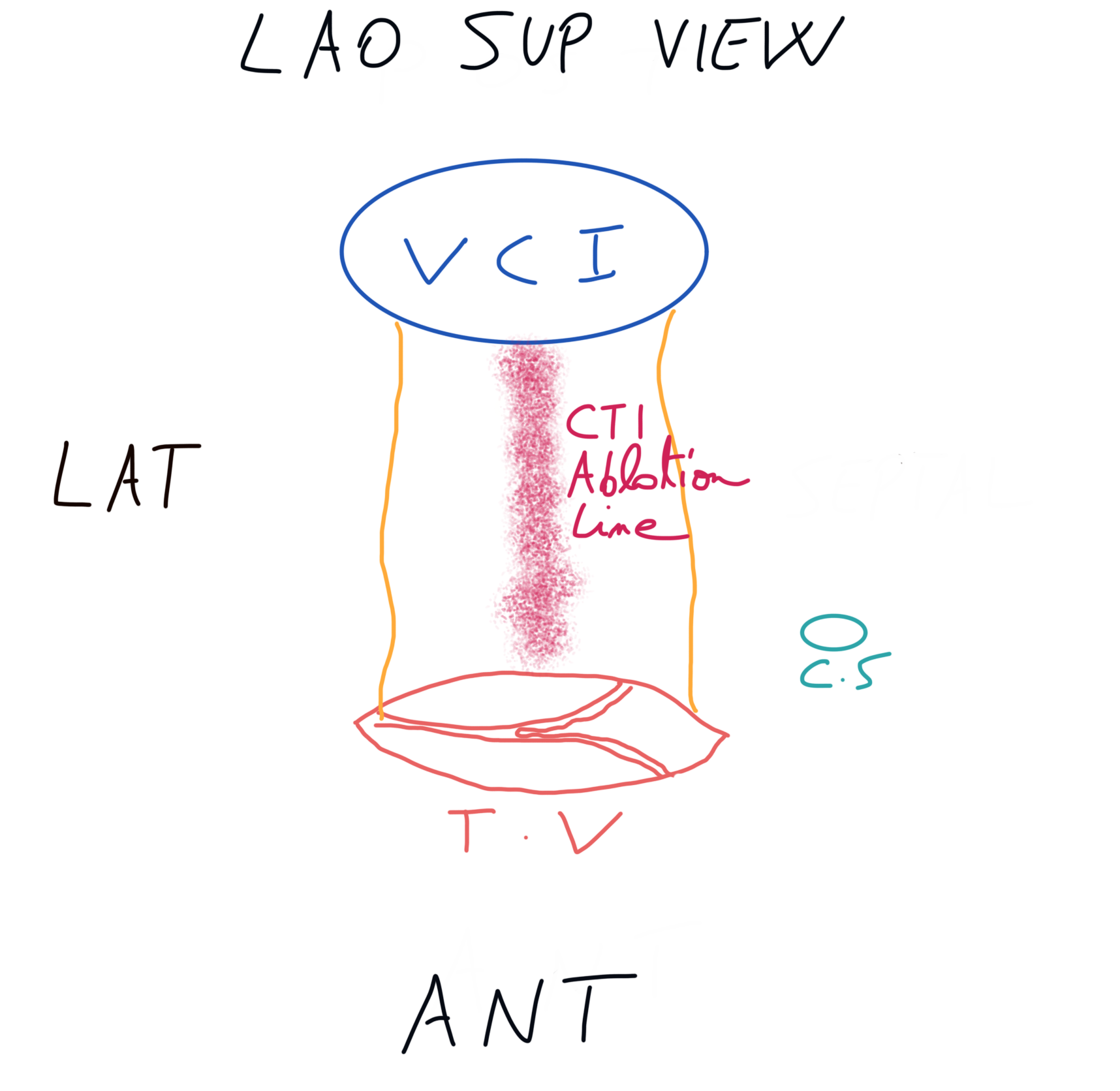 Cti Classification CTI - Dr Synapse